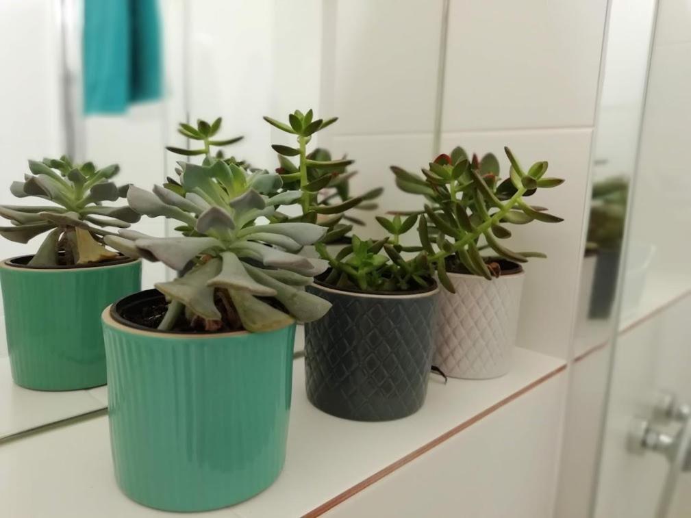 Suite Da Joaninha Caminha Eksteriør billede